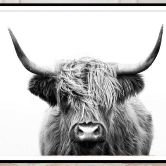 Meet your Posher, Victoria - Picture 1 of 1